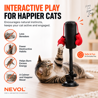 Interactive Cat Boxing Toy – Indoor Cat Enrichment & Exercise