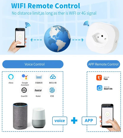 IntelliPlug Home Connect and Assistance