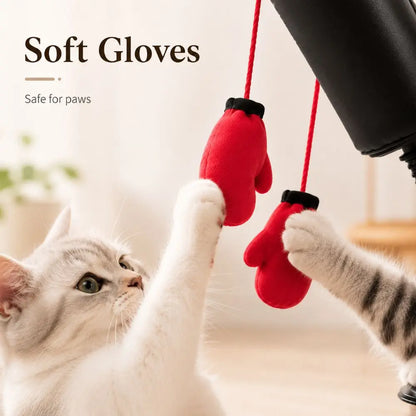 Interactive Cat Boxing Toy – Indoor Cat Enrichment & Exercise